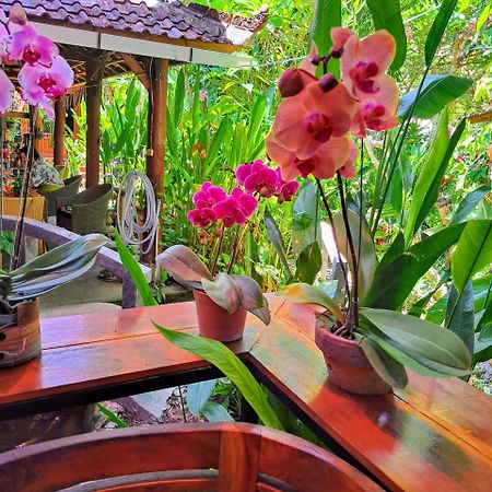 Bali Kembali Hotel Sanur  Bagian luar foto